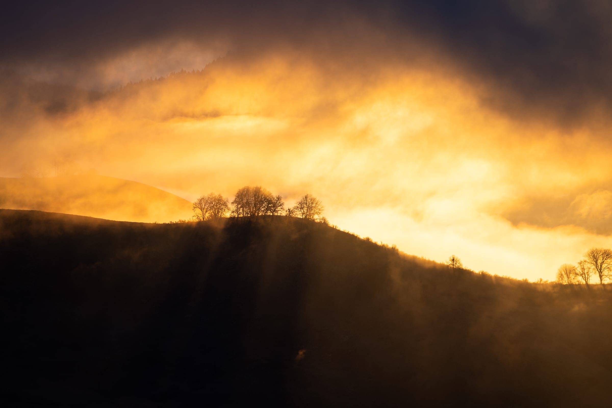 Golden January sun breaking through fog over a wooded hilltop near Roseburg