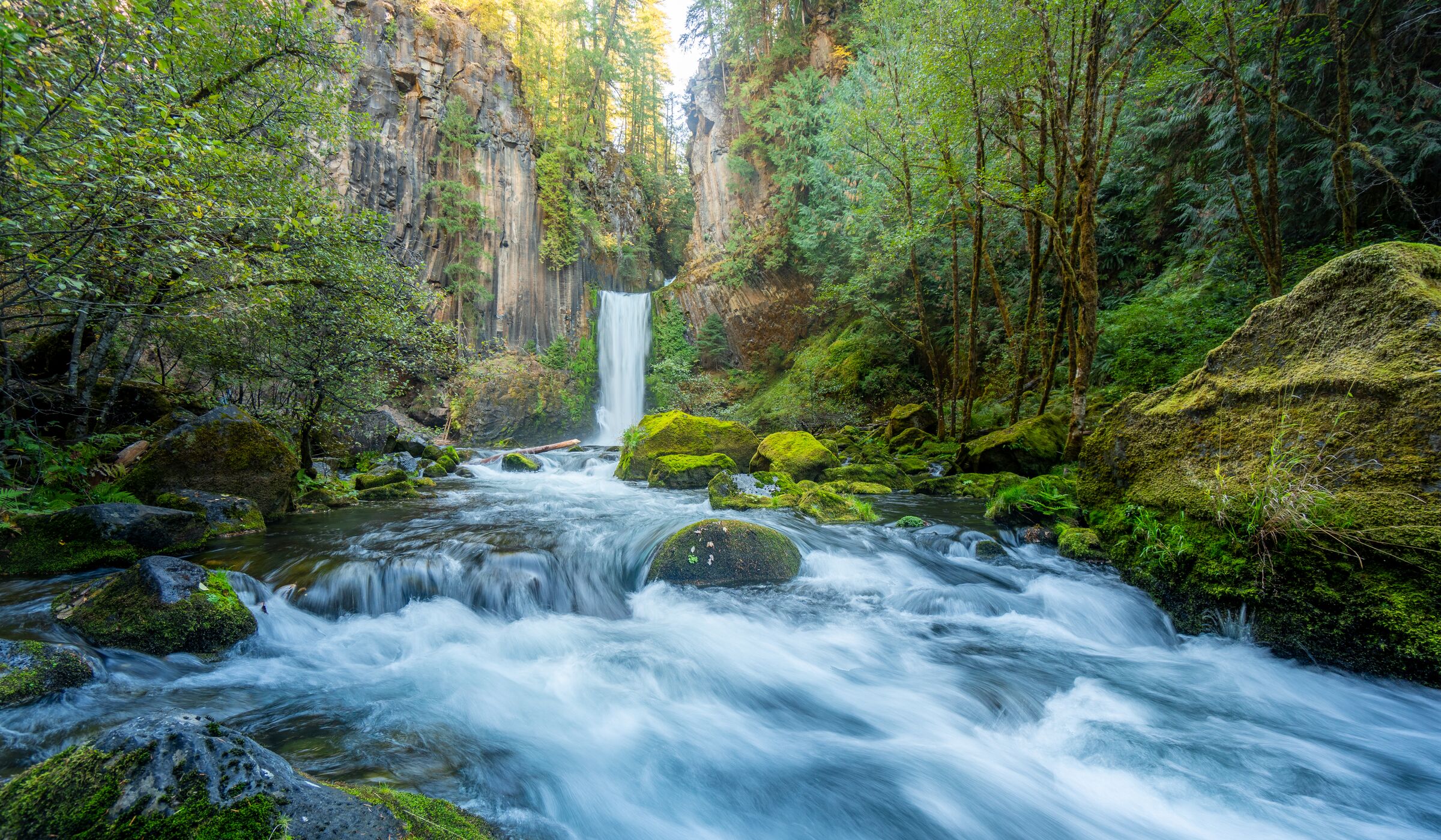 Toketee Falls pouring between basalt walls into the North Umpqua River, white water over mossy rocks in October
