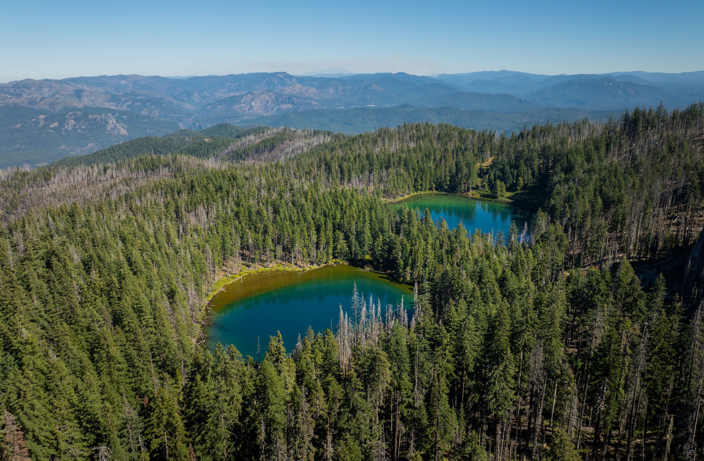 The two blue Twin Lakes set in fir forest in September, ridges fading into the distance