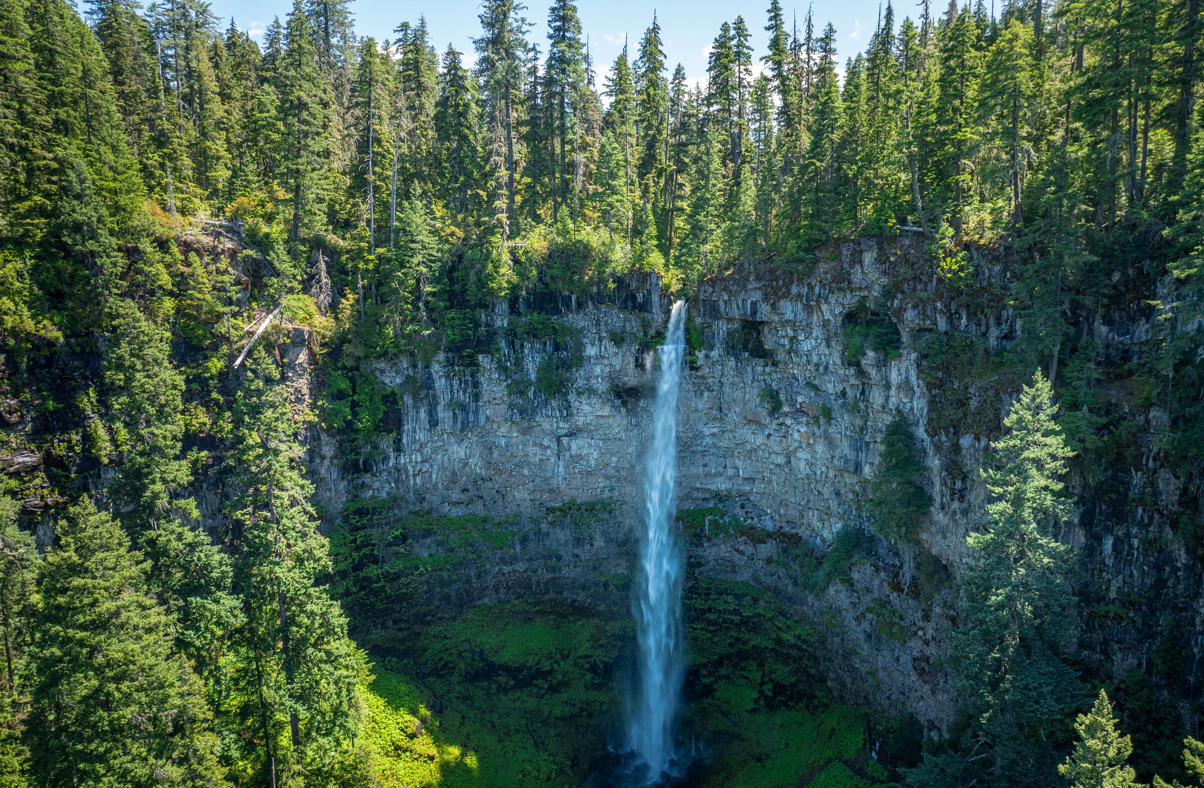 Watson Falls dropping from a basalt cliff into a green, fir-ringed bowl in June, seen from the air